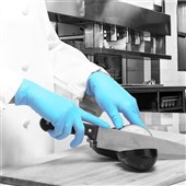 Polyco Bodyguards GL895 Blue Nitrile Powder Free Disposable Glove AQL1.5 (Box 100)