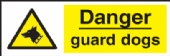 danger guard dogs danger guard dogs
