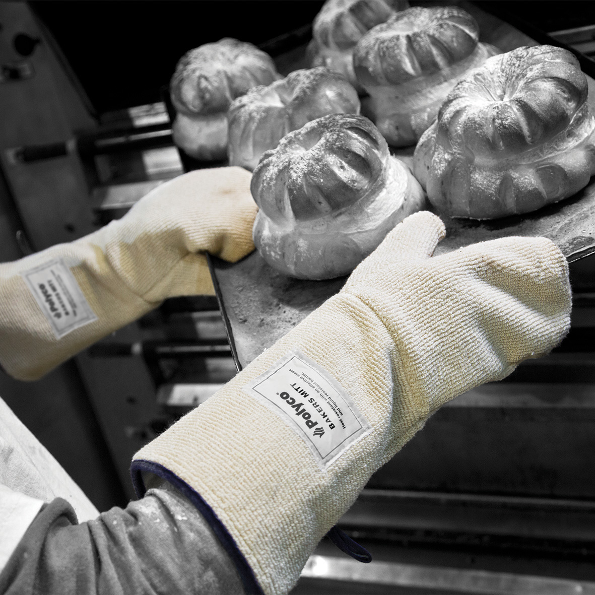 Food Processing & Catering Gloves